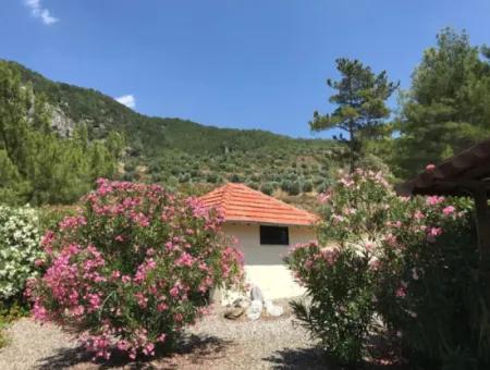 Bungalow Zu Verkaufen In Akkaya Taşliburunda