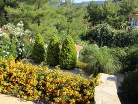 Dalaman, Akkaya Valley - Stunning 4 Bed Villa