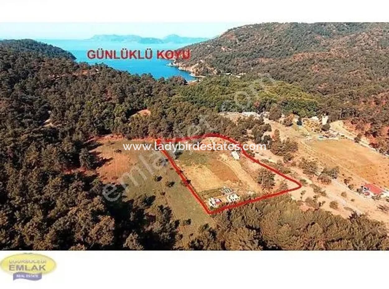 Fethiye Günlüklü Koyunda Satılık 6.793 M2 Yatırım Teşvikli Tarla